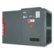 Винтовой компрессор DALGAKIRAN Inversys 110 Plus ‑ 10 бар